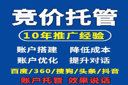 竞价推广实战：经典案例深度解析